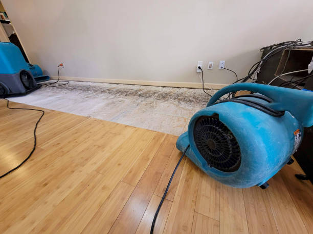 Professional Water Damage Repair technician working in Woodsville, NH